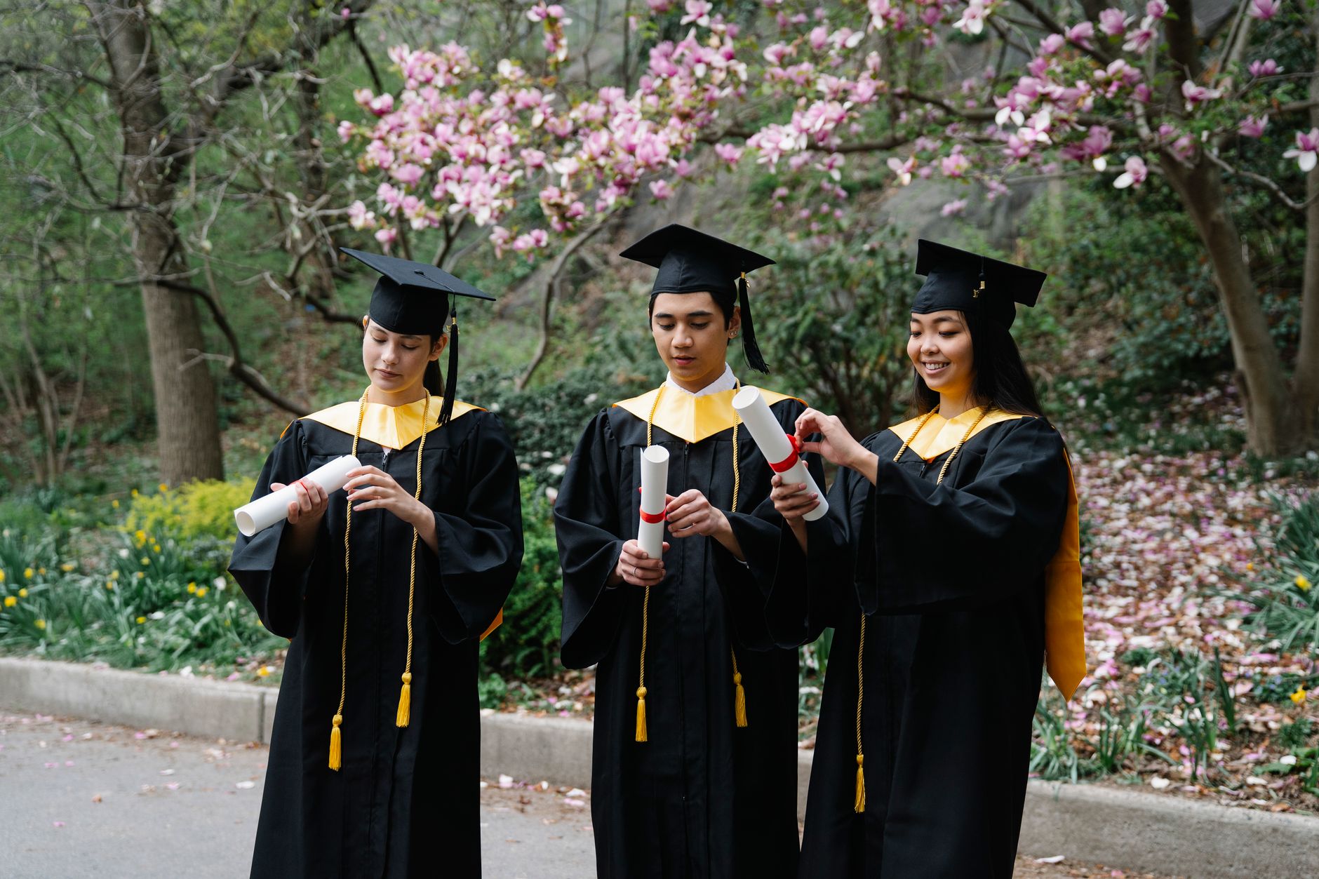 studyabroad-wiki 配图