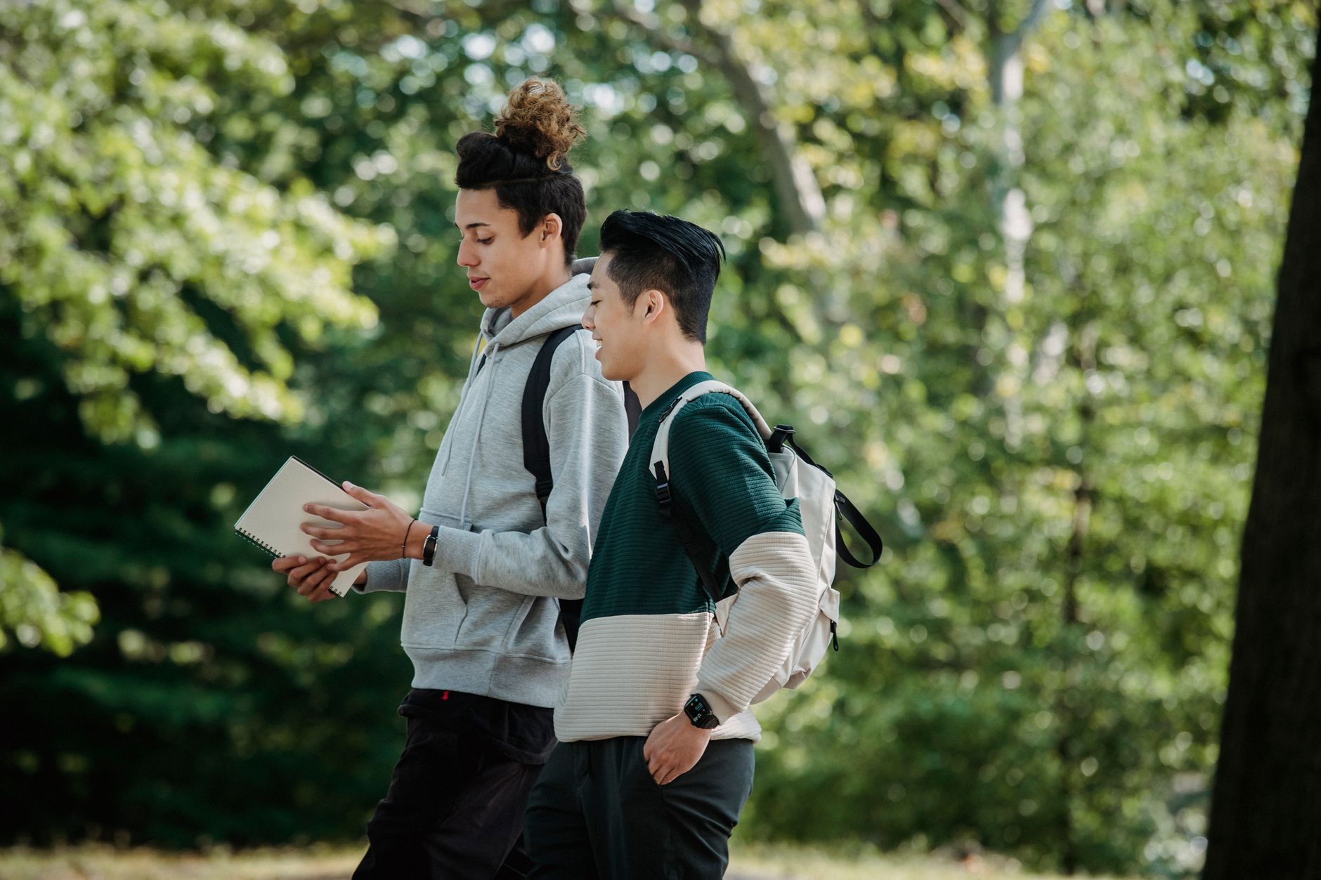 Guia American University 2026: Requisitos de Admissão, Mensalidades e Rankings em Washington DC