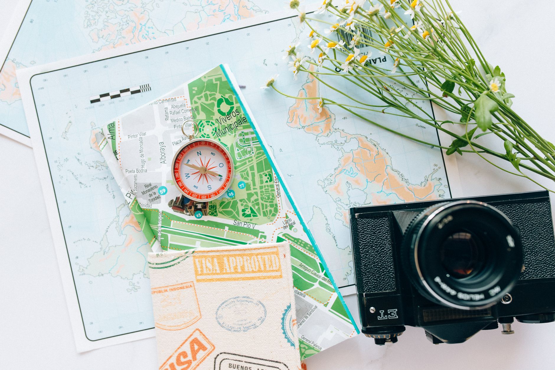 studyabroad-wiki 配图