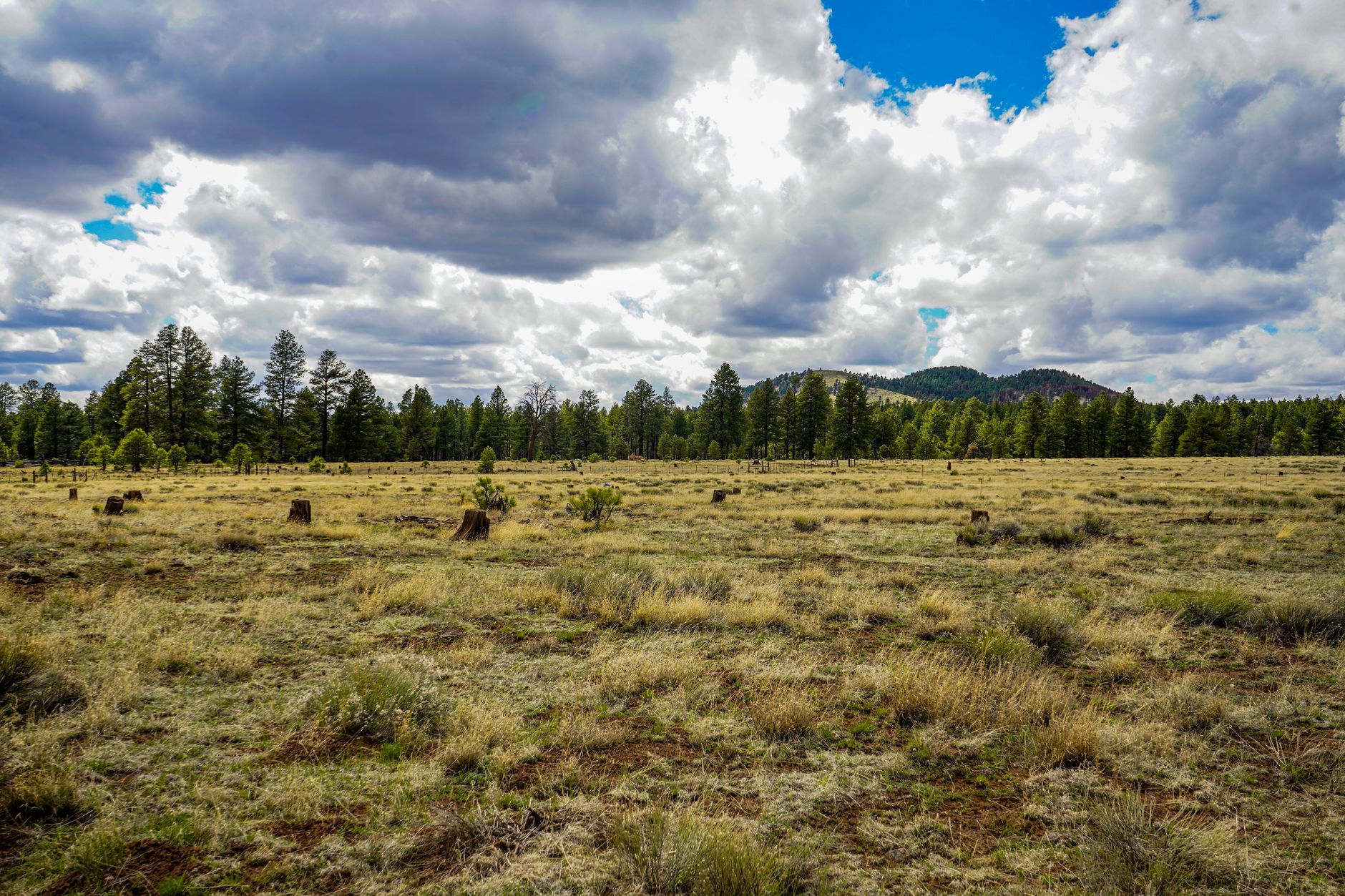คู่มือ Northern Arizona University ปี 2026: ข้อกำหนดการรับเข้าเรียน ค่าเล่าเรียน และหลักสูตรยอดนิยมสำหรับนักศึกษาต่างชาติ