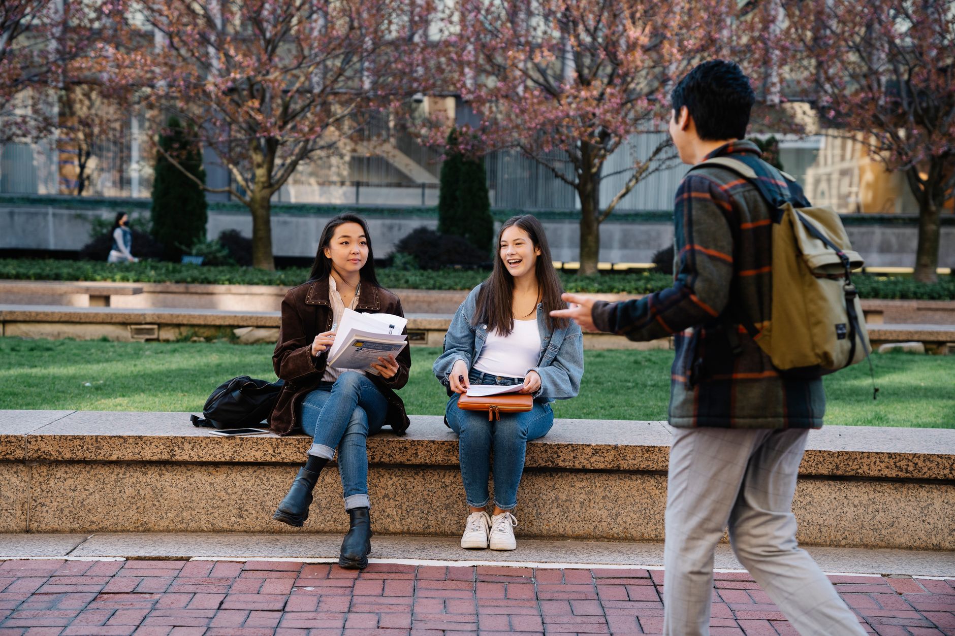 Guia Completo da UC Riverside 2026: Requisitos de Admissão, Mensalidades, Rankings e Cursos Mais Procurados