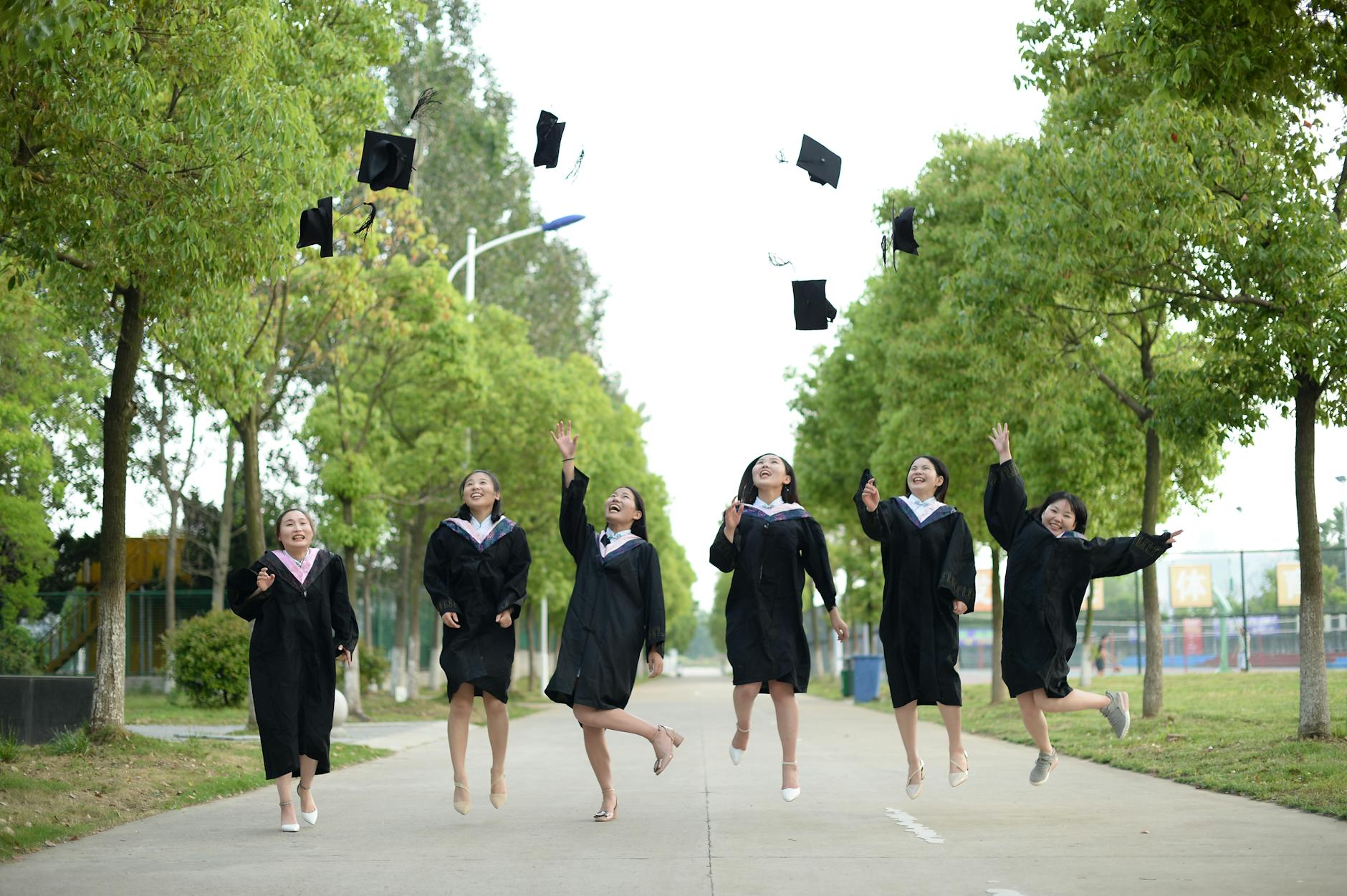 2026 A-Level and IGCSE Results Dates and UCAS Clearing Guide