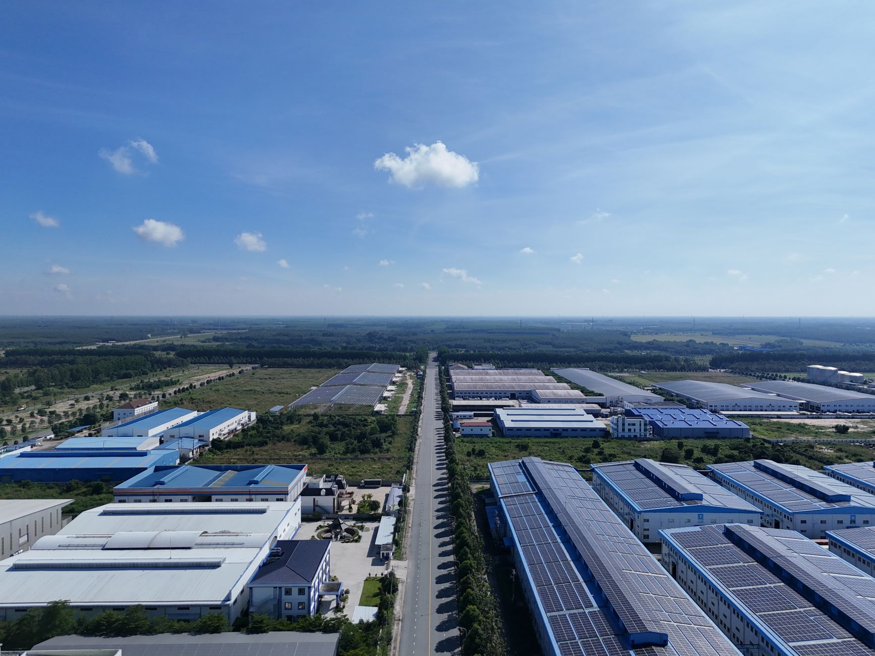 Du học ngành Kinh doanh 2026: ROI & cơ hội việc làm toàn cầu